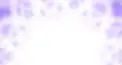 紫咲シオン検定