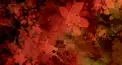東方紅魔郷