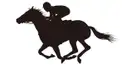 【競馬】ヒーロー列伝検定　このキャッチコピーがつけられた競走馬は？
