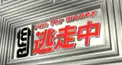 逃走中検定