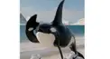 ブレインロット　プロ級