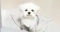 スングァンのことどれだけしってるーー？