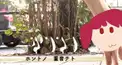 ホントノ歌詞検定