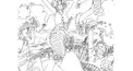 主題歌検定 ONE PIECE編