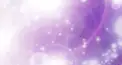 パトパト検定(桜花篇)