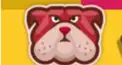 ドッグス検定