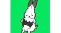 ドコムス検定