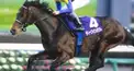 競馬検定ー