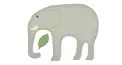 ゾウ