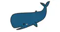 クジラ検定