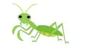 カマキリ検定
