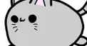 ぽんちゃん検定3級