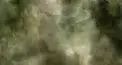 オカルト検定(全般)