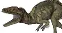 ざっくり恐竜検定　4級