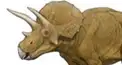 ざっくり恐竜検定　3級