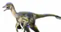 ざっくり恐竜検定　準2級