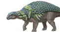 ざっくり恐竜検定　2級