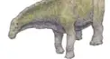 ざっくり恐竜検定　1級
