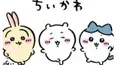 だれかちいかわの推し語りません？？？？？