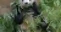 異文化交流検定　中国編　＃１