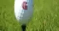 ゴルフ検定